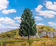 055-181852 - H0/TT/N - Douglasie